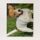 Jack Russell Terrier Puppy Dog Jigsaw Puzzle (Vertikal)