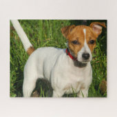 Jack Russell Terrier Puppy Dog Jigsaw Puzzle (Horizontal)