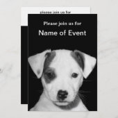 Jack Russell Terrier Puppy Einladung (Vorne/Hinten)