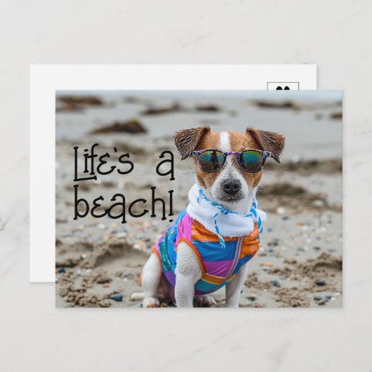 Jack Russell Terrier Puppy mit Sonnenbrille Postkarte (Vorne/Hinten)