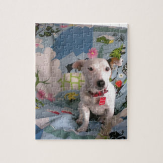 Jack Russell Terrier Puzzle