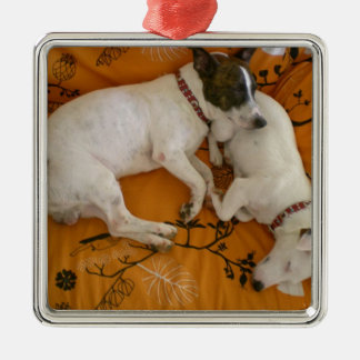 Jack Russell Terrier Silbernes Ornament