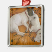 Jack Russell Terrier Silbernes Ornament (Links)