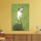 Jack Russell Terrier Springen, erhöhte Sicht Leinwanddruck (Insitu (Wohnzimmer))