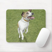 Jack Russell Terrier Springen, erhöhte Sicht Mousepad (Mit Mouse)