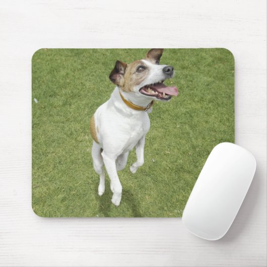Jack Russell Terrier Springen, erhöhte Sicht Mousepad (Mit Mouse)