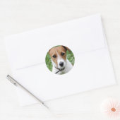 Jack Russell Terrier Sticker (Umschlag)