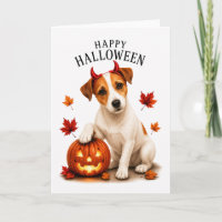 Jack Russell Terrier Teufelshund