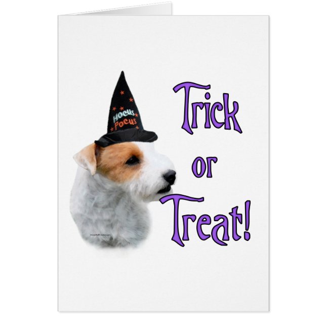 Jack Russell Terrier Trick (Vorne)