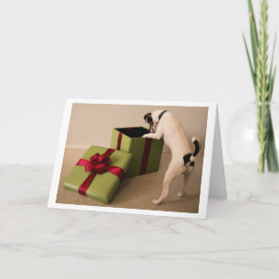 Jack-Russell-Terrier-Weihnachtskarte Feiertagskarte