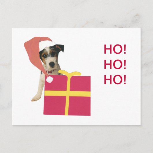 Jack-Russell-Terrier-Weihnachtsmannmütze Feiertagspostkarte (Vorderseite)