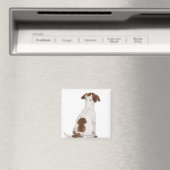 Jack Russell Terrier Welpe (3 Monate alt) Magnet (In Situ (Geschirrspüler))