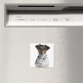 Jack Russell Terrier Welpe (4 Monate alt) Magnet (In Situ (Geschirrspüler))