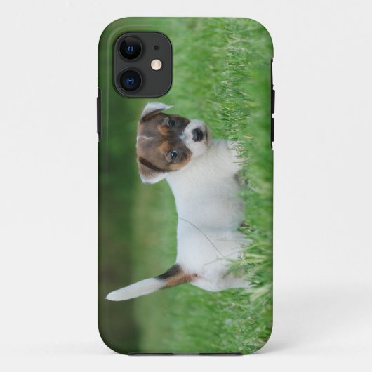 Jack Russell Terrier Welpe Case-Mate iPhone Hülle (Rückseite)