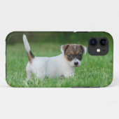 Jack Russell Terrier Welpe Case-Mate iPhone Hülle (Rückseite (Horizontal))
