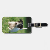Jack Russell Terrier Welpe Gepäckanhänger (Vorderseite horizontal)
