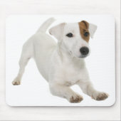 Jack Russell Terrier Welpe Hund Liebe Mousepad (Vorne)