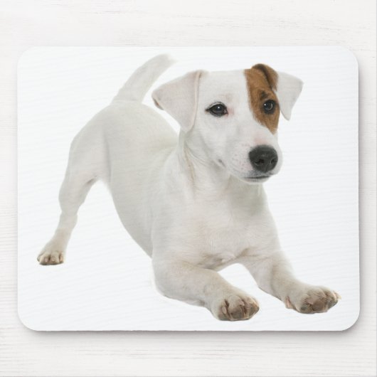 Jack Russell Terrier Welpe Hund Liebe Mousepad (Vorne)