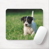 Jack Russell Terrier Welpe Mousepad (Mit Mouse)