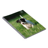Jack Russell Terrier Welpe Notizblock (Rechte Seite)