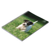 Jack Russell Terrier Welpe Notizblock (Linke Seite)
