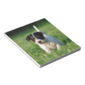 Jack Russell Terrier Welpe Notizblock (angewinkelt)