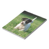 Jack Russell Terrier Welpe Notizblock (Rotiert)