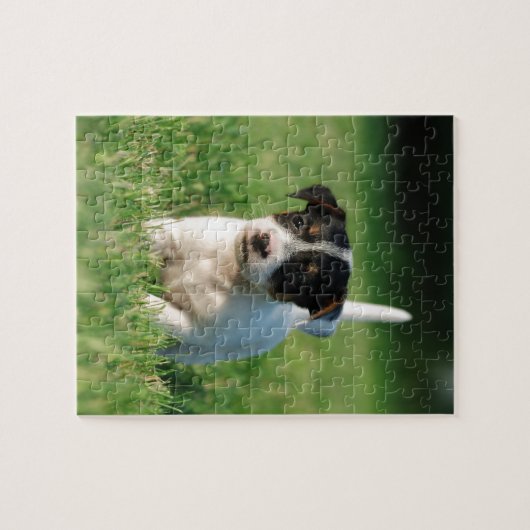 Jack Russell Terrier Welpe Puzzle (Horizontal)