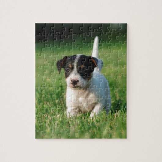 Jack Russell Terrier Welpe Puzzle (Vertikal)