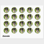Jack Russell Terrier Welpe Runder Aufkleber (Blatt)