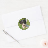 Jack Russell Terrier Welpe Runder Aufkleber (Umschlag)