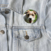 Jack-Russell-Terrierknopf Button (Beispiel)