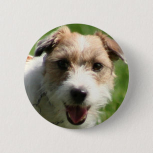 Jack-Russell-Terrierknopf Button