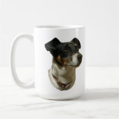 Jack Russell verfolgt Tasse (Links)