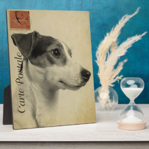 Jack Russell Vintag Postcard Fotoplatte