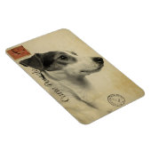 Jack Russell Vintag Postcard Magnet (Rechte Seite)
