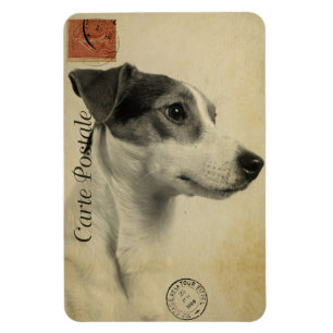 Jack Russell Vintag Postcard Magnet
