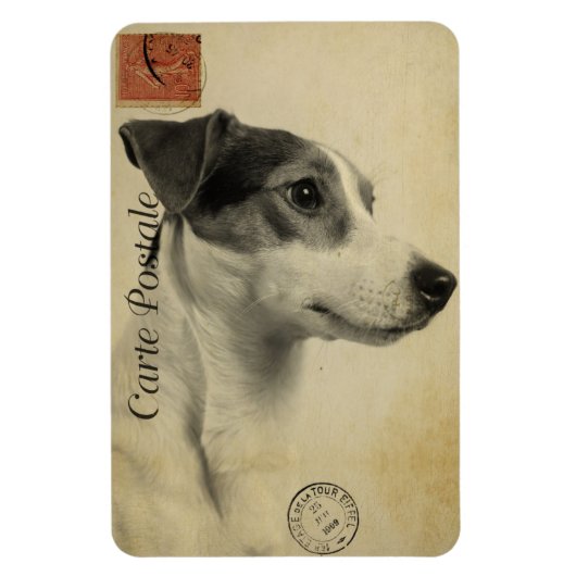 Jack Russell Vintag Postcard Magnet (Vertikal)