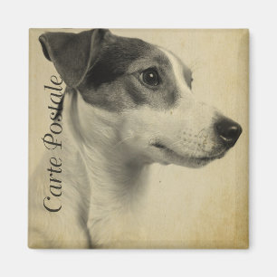 Jack Russell Vintage Postkarte Magnet