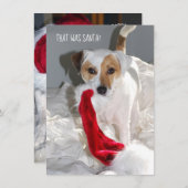 Jack Russell Weihnachtskarte (Vorne/Hinten)