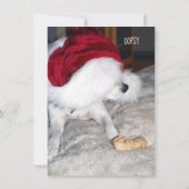 Jack Russell Weihnachtskarte (Rückseite)