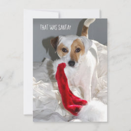 Jack Russell Weihnachtskarte