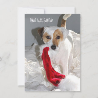 Jack Russell Weihnachtskarte