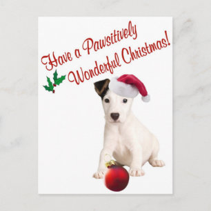 Jack-Russell-Weihnachtswünsche Feiertagspostkarte