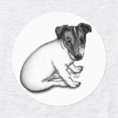 Jack Russell Welpe 10 Wochen alt Etiketten (Design 1)