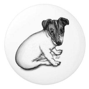Jack Russell Welpe 10 Wochen alt Keramikknauf