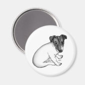 Jack Russell Welpe 10 Wochen alt Magnet (Vorderseite/Rückseite)