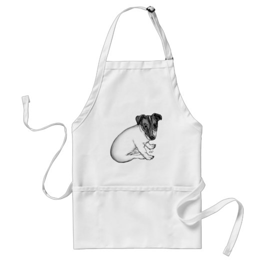 Jack Russell Welpe 10 Wochen alt Schürze (Vorne)