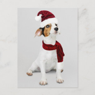 Jack Russell Welpe mit Santa Hut Feiertagspostkarte