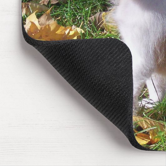 Jack-Russell-Welpe Mousepad (Ecke)